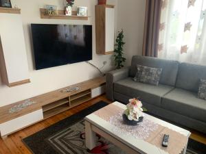 波格拉德茨Villa Rejan的带沙发和电视的客厅