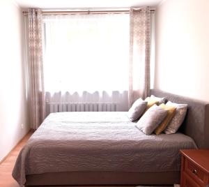 特拉凯Comfy classic apartment in Trakai的一间卧室设有一张大床和大窗户