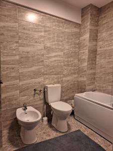 特尔古尼亚姆茨CITADEL VIEW的浴室配有卫生间、浴缸和水槽。