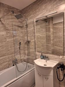 特尔古尼亚姆茨CITADEL VIEW的带淋浴、盥洗盆和浴缸的浴室
