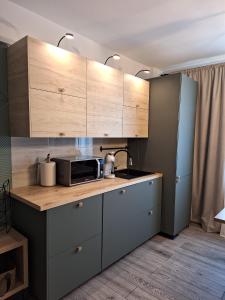 特尔古尼亚姆茨CITADEL VIEW的厨房配有木制橱柜和台面上的微波炉