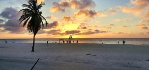 奥拉涅斯塔德BUSHWA APARTMENTS #2 , Tu 5 estrellas的海滩上的棕榈树与日落