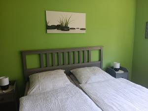 特里尔Ferienwohnung Mattheiser Weiher的一间卧室设有绿色的墙壁和两张带枕头的床