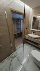 维斯瓦Villa Olimpijska 2 - Centrum的一间带玻璃淋浴和水槽的浴室
