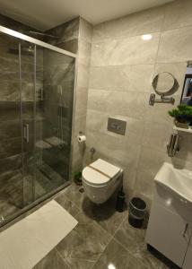 图兹拉Sahil Hotel Pendik的一间带卫生间和玻璃淋浴间的浴室