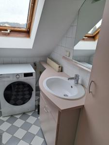 Flataid Apartments Gössendorf/Magna的一间带水槽和洗衣机的浴室