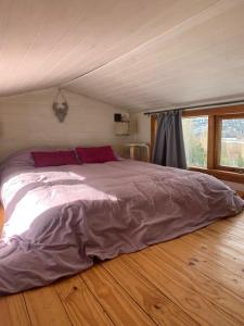 圣马丁德洛斯Hermosa Tiny House con Vista al Chapelco的铺有木地板的客房内一张大床