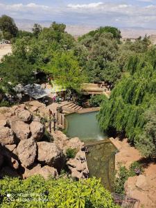 塔扎Gîte Dayet Chiker的享有河流岩石和树木的景色
