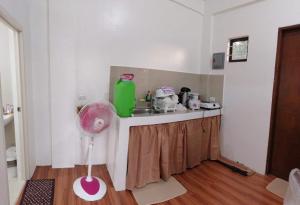 PilaCasa Honorio的客房内设有带风扇的台面的厨房