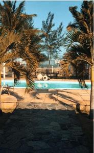 盖比姆Casa LUXO Guaibim的一个带两棵棕榈树和长凳的游泳池