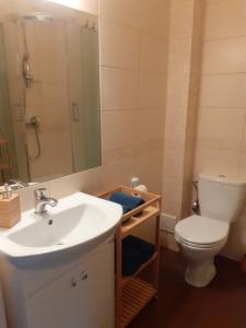 威赫罗伏Słoneczny apartament z małym ogródkiem的一间带水槽、卫生间和镜子的浴室