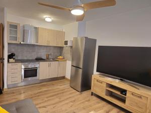 艾姆布里亚布拉瓦Apartamento El olivo的厨房配有不锈钢冰箱和电视