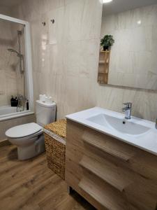 艾姆布里亚布拉瓦Apartamento El olivo的一间带水槽、卫生间和镜子的浴室