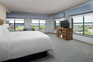 巴尔的摩巴尔的摩市中心会议中心汉普顿酒店的一间卧室设有一张床、一台电视和窗户。