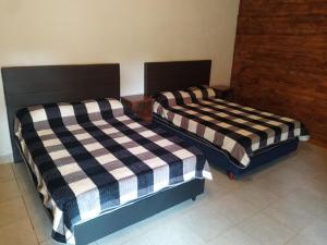 Quinta Don Adolfo客房内的一张或多张床位