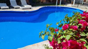 门多萨Hotel Namaste的蓝色游泳池旁有粉红色的花朵