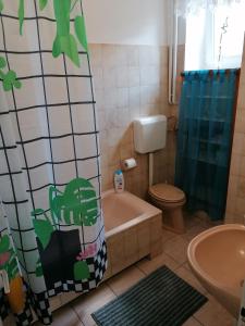 克塞洛Hanna 3 Apartman的带浴缸、卫生间和盥洗盆的浴室