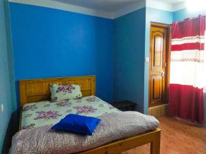 加德满都Peace Homestay的一间卧室设有蓝色的墙壁和一张带枕头的床