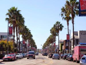 洛杉矶Swim, Dine, Relax in Marina Del REY的一条充满棕榈树和汽车的繁忙城市街道