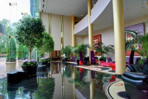 赫恩登华盛顿杜勒斯机场希尔顿酒店的大厅,在大楼里摆放椅子和植物