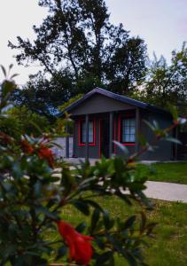 安布罗劳里Brotseulebi的院子里的一间红色修剪的小房子