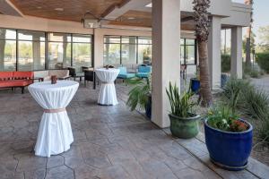 土桑图森机场希尔顿花园酒店 的庭院设有2张白色桌子和盆栽植物