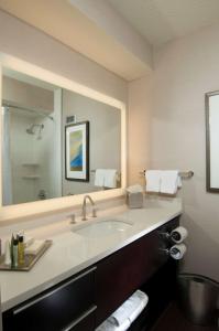 奥尔巴尼奥尔巴尼希尔顿酒店的一间带水槽和大镜子的浴室