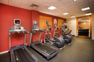 阿森斯雅典市中心希尔顿花园酒店的一间健身房,里面配有数台有氧运动器材