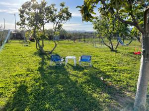 新安希亚洛斯Villa ,,Sea Breeze,, - home by the sea的树木繁茂的田野里,两把椅子和一张桌子