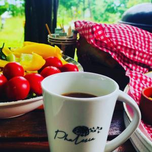 萨潘贾Phalesia Glamping Otel的坐在一盘水果旁的咖啡