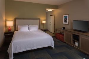 阿什维尔北卡罗来纳州阿什维尔比尔特摩村希尔顿欢朋酒店的一间卧室配有一张床和一台平面电视