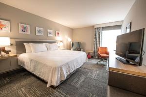 阿什维尔Hilton Garden Inn Asheville South的配有一张床和一台平面电视的酒店客房