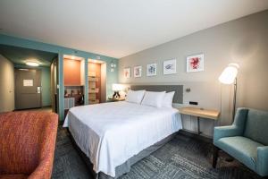 阿什维尔Hilton Garden Inn Asheville South的酒店客房带一张大床和一把椅子