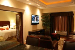班戈班戈尔希尔顿花园酒店的酒店客房设有一张床和墙上的电视