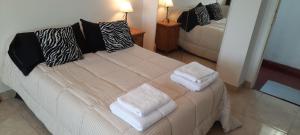 布宜诺斯艾利斯Estudio en Recoleta的客房内的一张带毛巾的床
