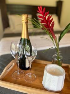 SiquirresSiquirres Mountain Lodge的配有一瓶香槟和两杯葡萄酒的木制托盘