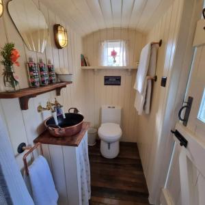 科姆堡The Delkin Shepherds Huts Castle Combe的一间带水槽和卫生间的小浴室