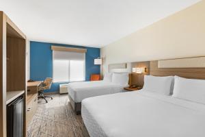 贝尔格莱德贝尔格莱德博兹曼地区智选假日酒店的酒店客房配有两张床和一张书桌