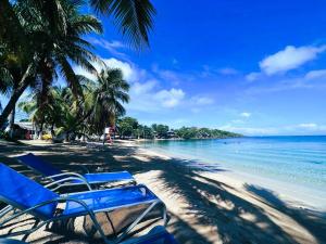 西区MIRAMAR SUITES的海滩上拥有蓝色的椅子和棕榈树,还有大海