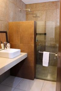 瓜纳华托LAS ALAMEDAS Departamentos céntricos con estacionamiento privado的一间带水槽和玻璃门淋浴的浴室
