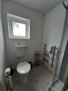 韦克斯福德Central Town Apartment的一间带卫生间和窗户的浴室