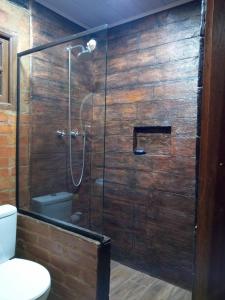 圣安东尼奥-杜皮尼亚尔Chalet di Alta Montagna的浴室设有玻璃淋浴间和卫生间