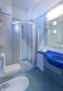丽都迪萨维奥Hotel Concord的带淋浴、卫生间和盥洗盆的浴室