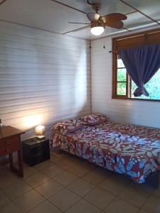 PapawaEnzo lodge chambre tipanier的一间卧室设有一张床和一个窗口
