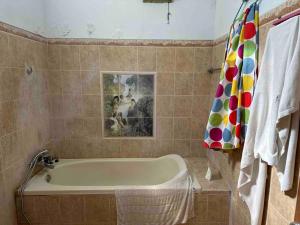 金巴兰Jimbaran House的带浴缸的浴室和墙上的绘画