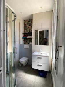 勒卡内Appartement PALOMA Proche Cannes的浴室配有卫生间、盥洗盆和淋浴。