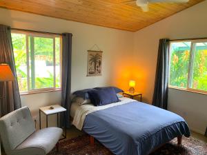 帕霍阿Seaside House and Aloha Bungalow的一间卧室配有一张床、一把椅子和窗户。