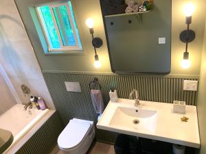帕霍阿Seaside House and Aloha Bungalow的一间带水槽、卫生间和镜子的浴室