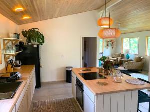 帕霍阿Seaside House and Aloha Bungalow的厨房配有水槽和黑冰箱。