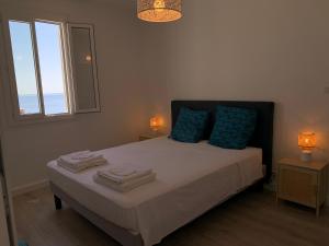 巴斯蒂亚Magnifique maison avec vue mer hauteur de Bastia的一间卧室配有一张带蓝色枕头的床和一扇窗户。